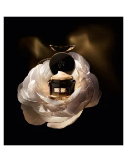 Absolue L'Extrait The Elixir Eye Cream, Anti-Aging Skin Care