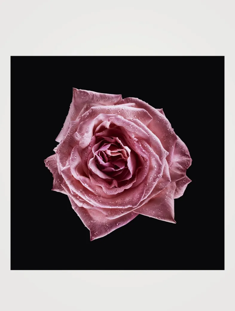 Armani/Privé Rose Milano Eau de Toilette