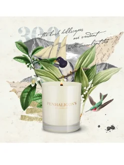 Ceylon Pekoe Candle