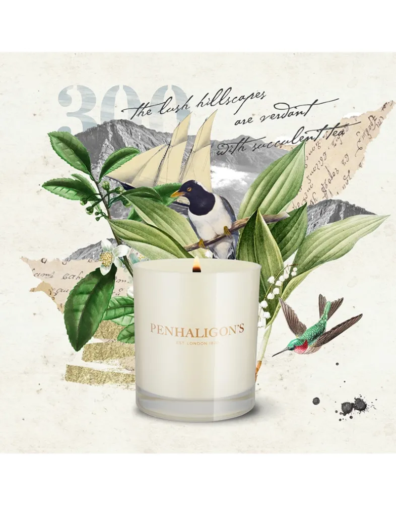 Ceylon Pekoe Candle