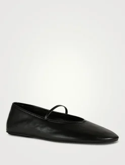 Dancerina Metallic Leather Ballet Flats