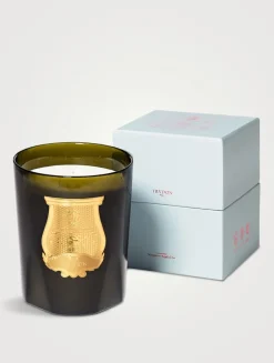 Ernesto Great Candle