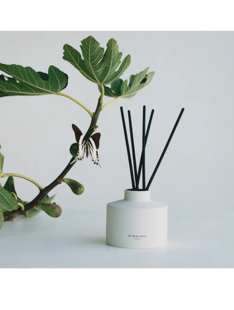 Fresh Fig & Cassis Diffuser