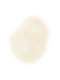 Hinoki Shampoo
