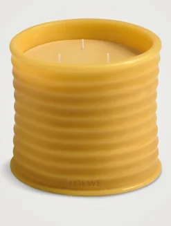 Honey Beeswax Medium Candle