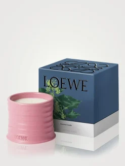 Ivy Candle