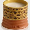 Mimosa Candle