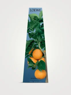 Orange Blossom Wax Candleholder