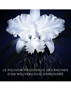 Orchidée Impériale The Cream Refill