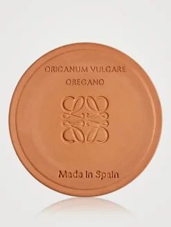 Oregano Candle
