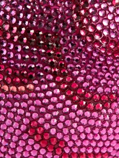 Parrot Bali Crystal Clutch