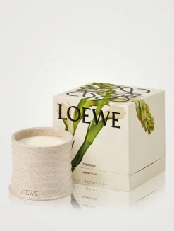 Polianthes Candle