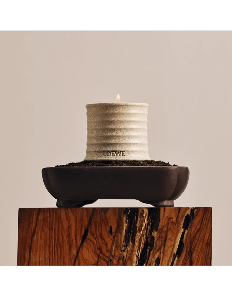 Polianthes Candle