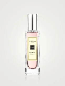 Red Roses Cologne