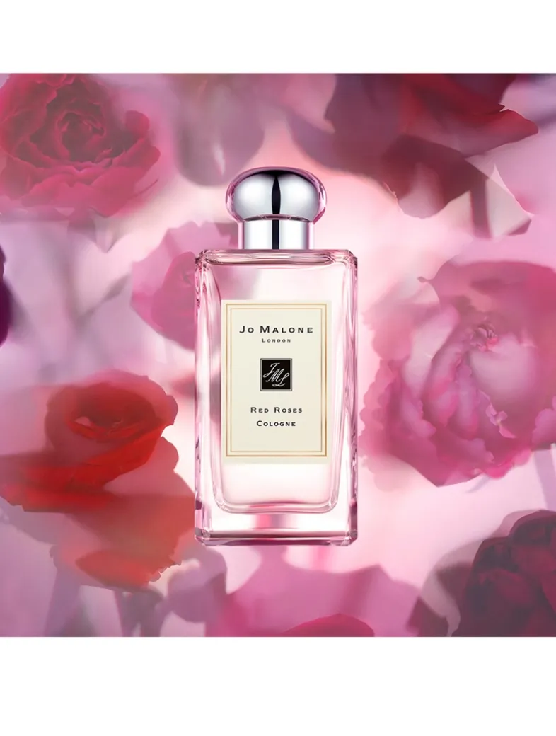 Red Roses Cologne