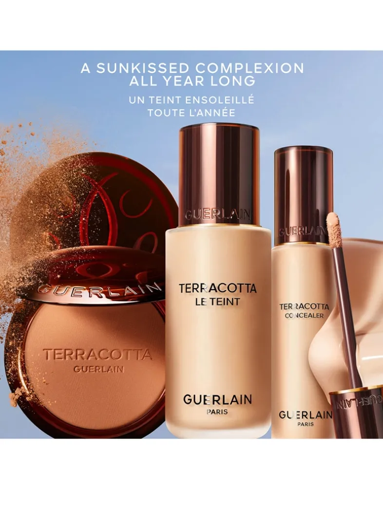Terracotta Concealer Natural Perfection Concealer