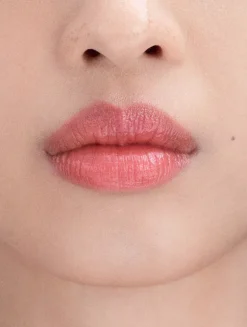 Tinted Lip Care