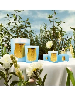 Versailles Petite Candle