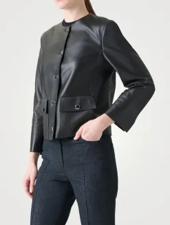 Winter Jacket