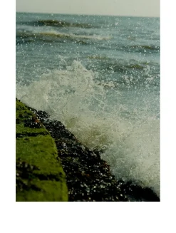 Wood Sage & Sea Salt Scented Candle